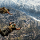 Image for article titled The 4 Games That Got Me Through 2020